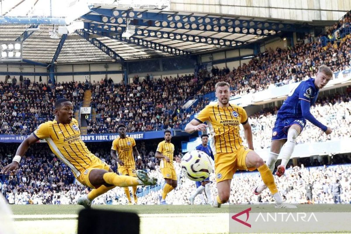 Brighton tekuk Tottenham 3-2