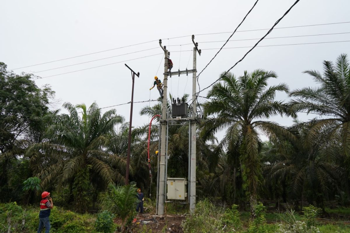 Dukung pertumbuhan industri dan efisiensi, PLN listriki pabrik kelapa sawit di Kampar