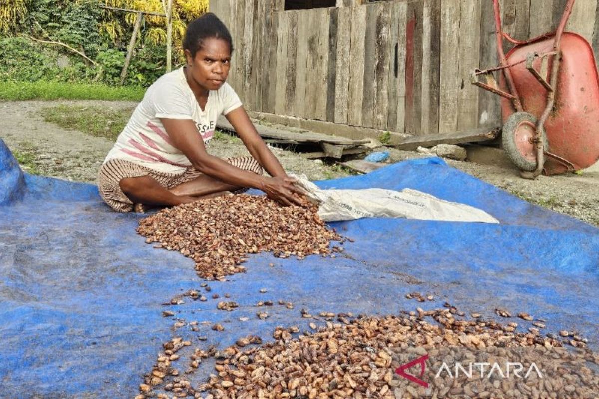 DJPb dorong pemda di Papua tingkatkan PAD capai target daerah