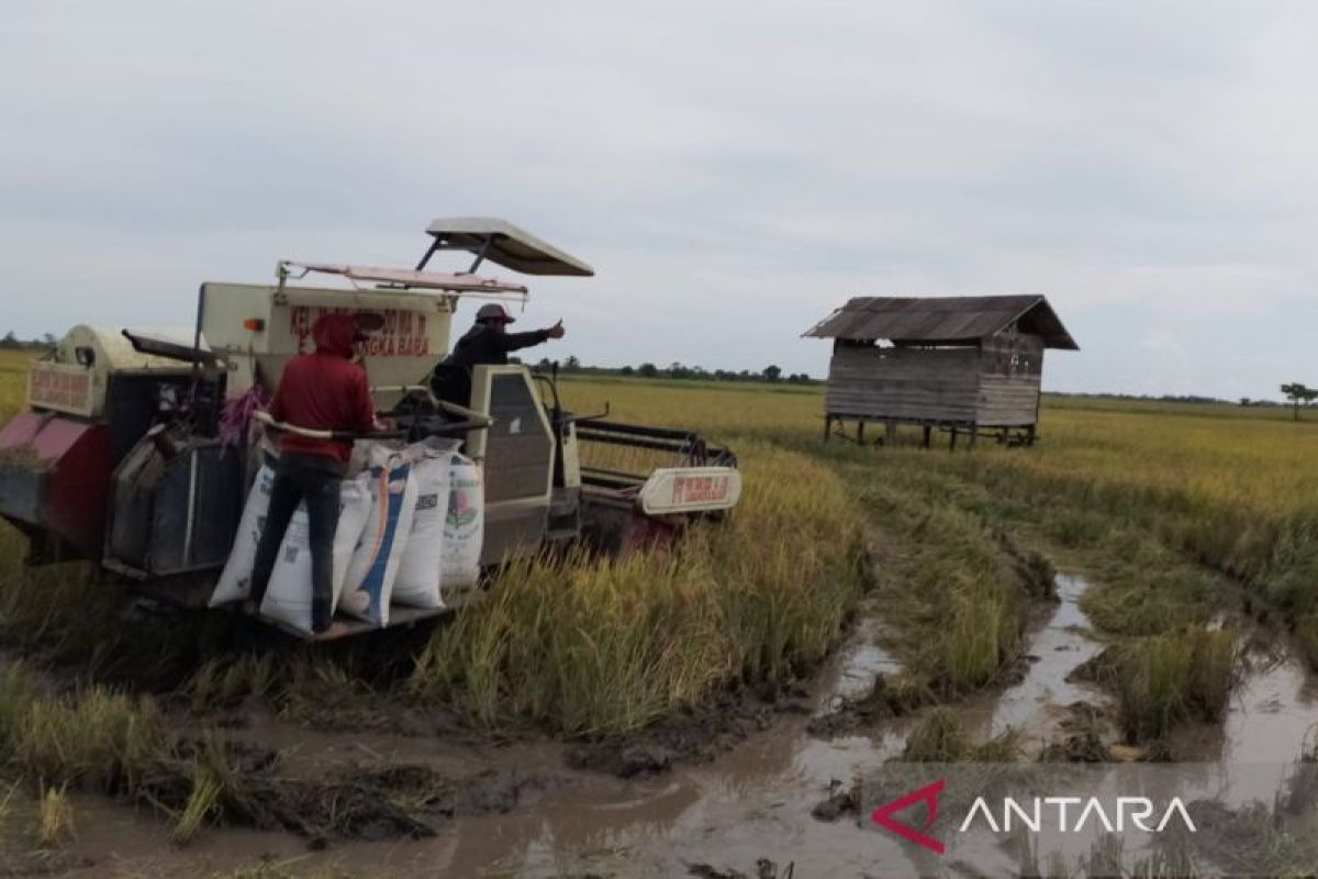 Pemkab Penajam ajak petani milenial penuhi kebutuhan pangan IKN