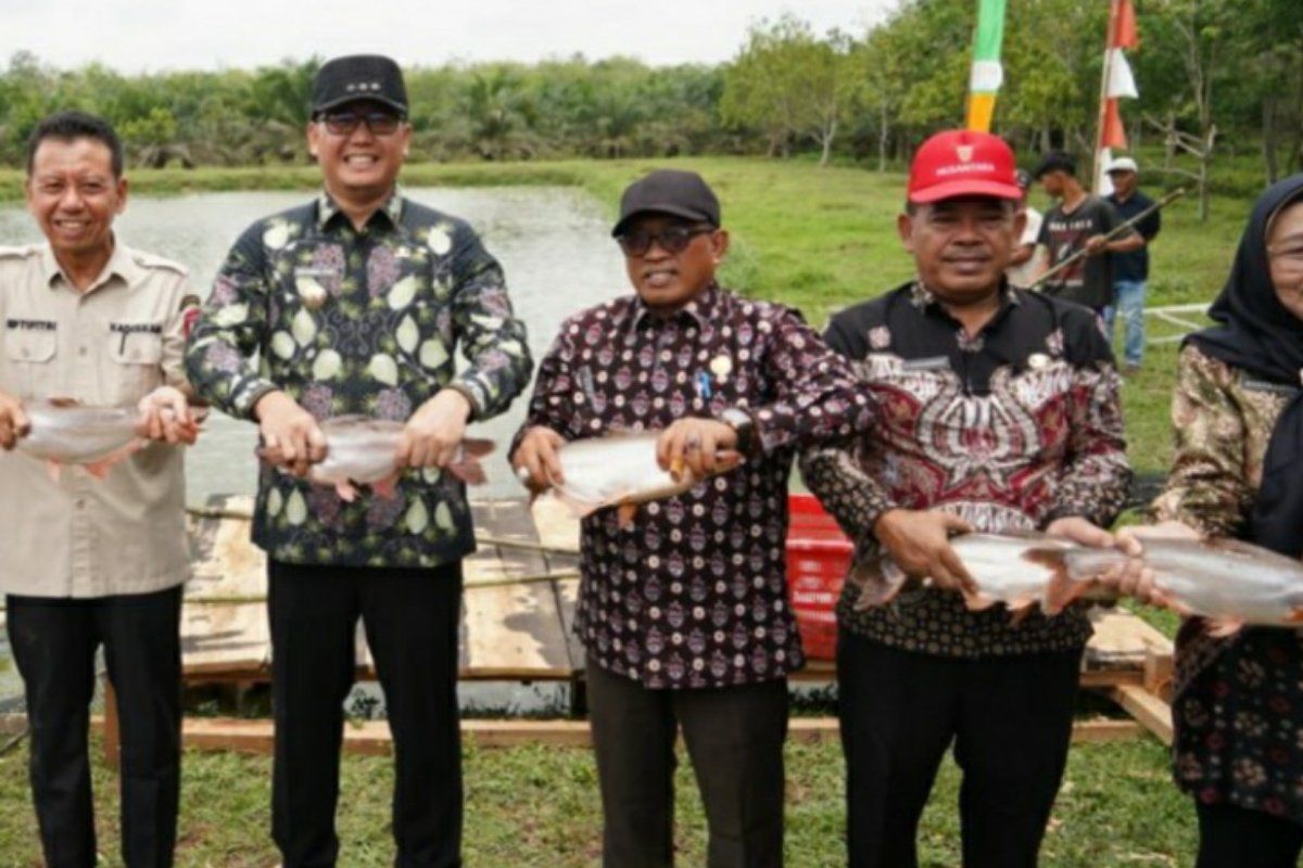 Banyuasin optimalkan  pemanfaatan area potensi perikanan budi daya