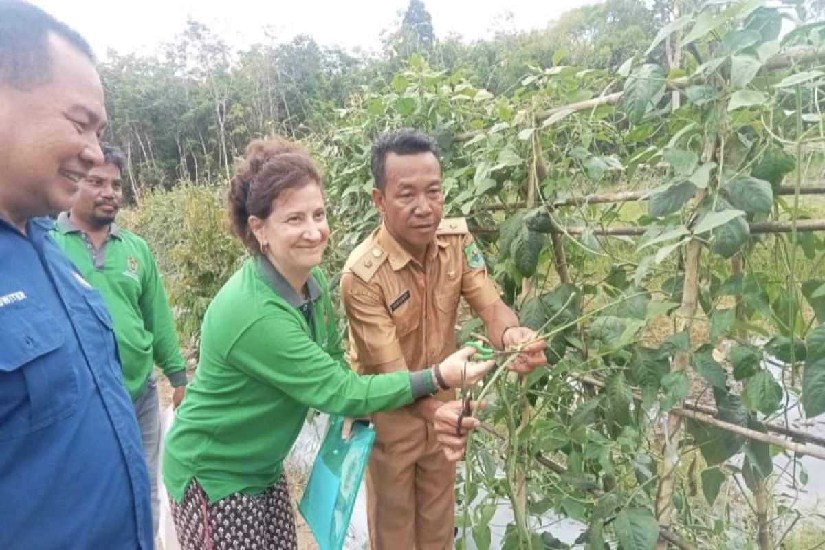 DPMD dukung optimalisasi usaha perhutanan sosial di Tumbang Mangkutup