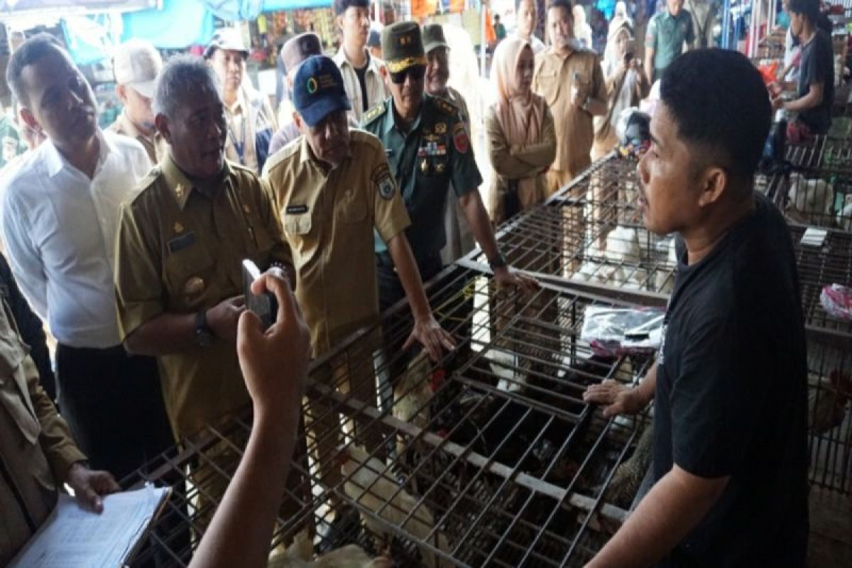 Pemprov Sulbar memantau harga bahan pangan di pasar tradisional Mamuju