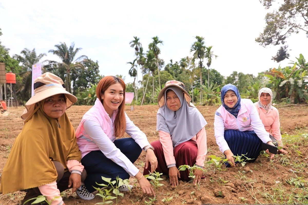 Srikandi Movement PLN dukung Kelompok Wanita Tani Luwa Pulau di Kampar