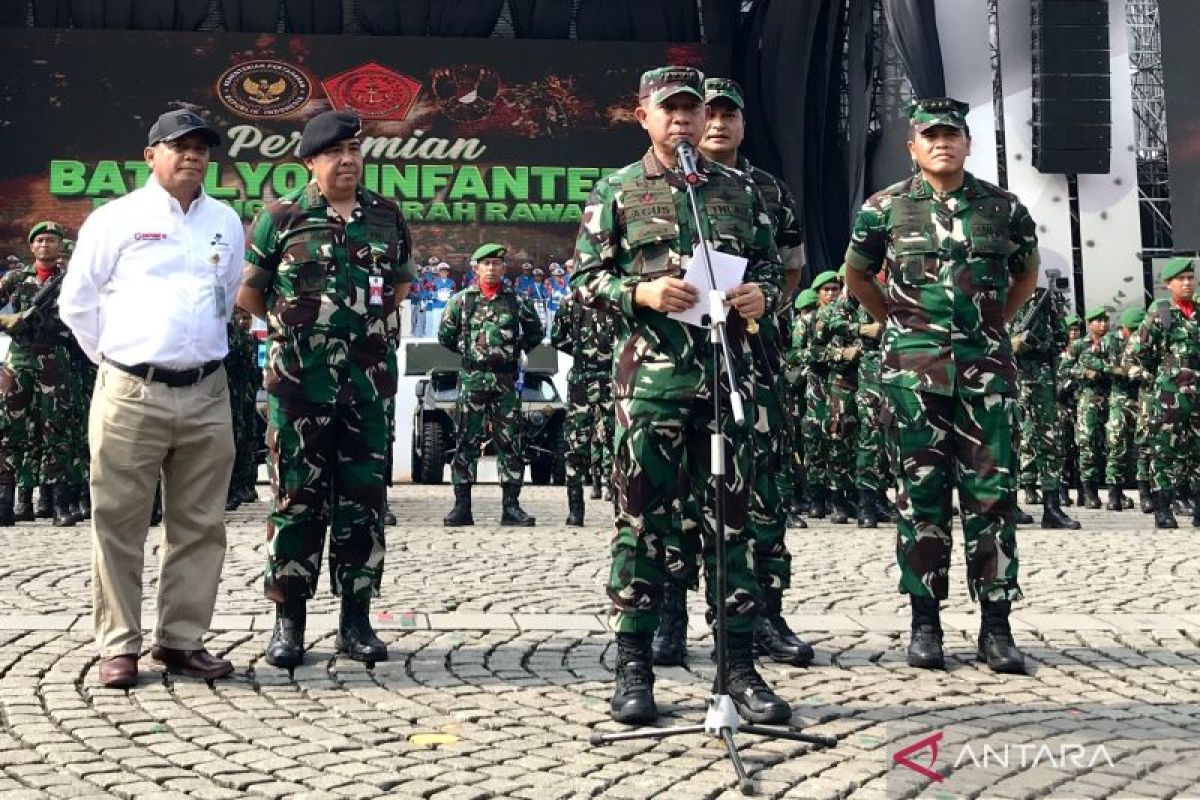 Panglima pastikan prajurit TNI di Lebanon dalam keadaan baik