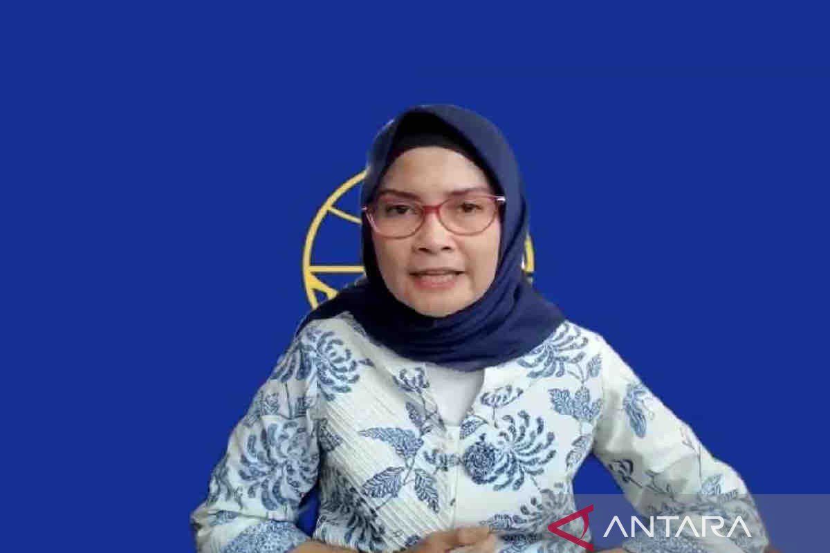 Adita Irawati: Jumlah pesawat mulai pulih usai sempat turun