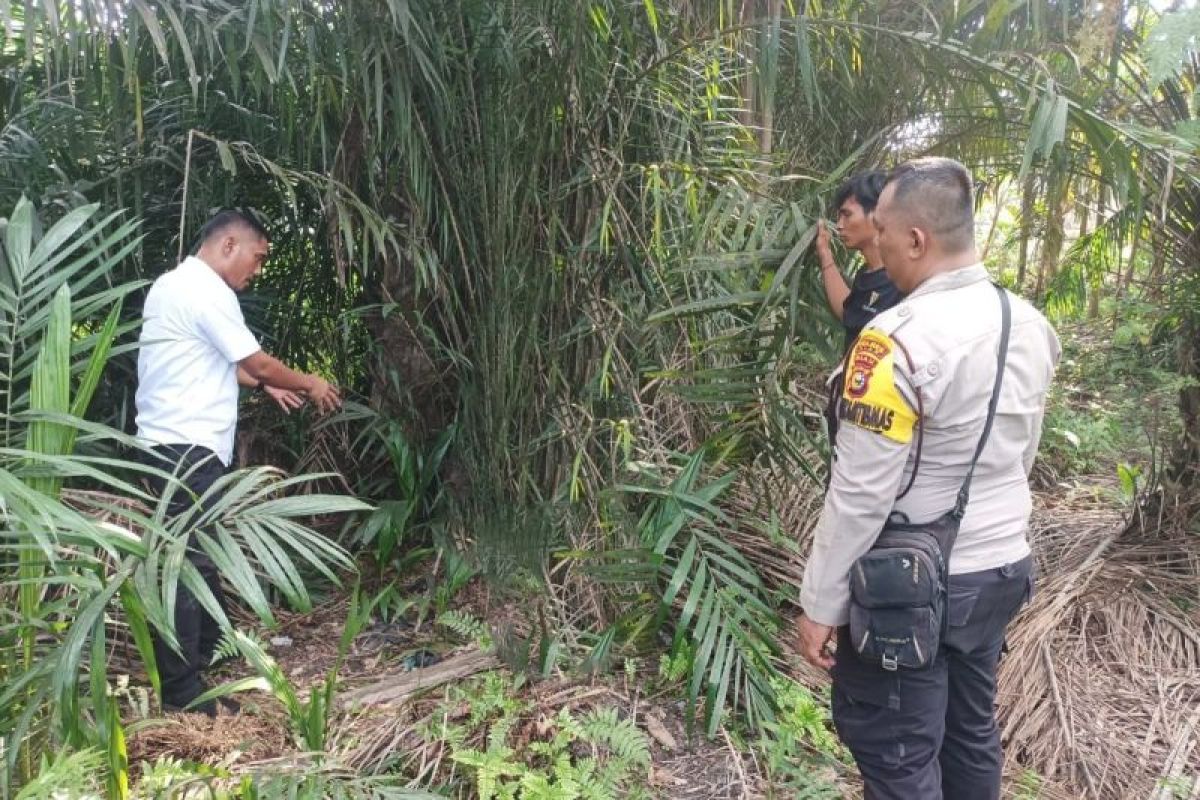 Kabupaten Layak Anak Siak tercoreng, 6 remaja gilir 1 siswi 3 hari berturut-turut