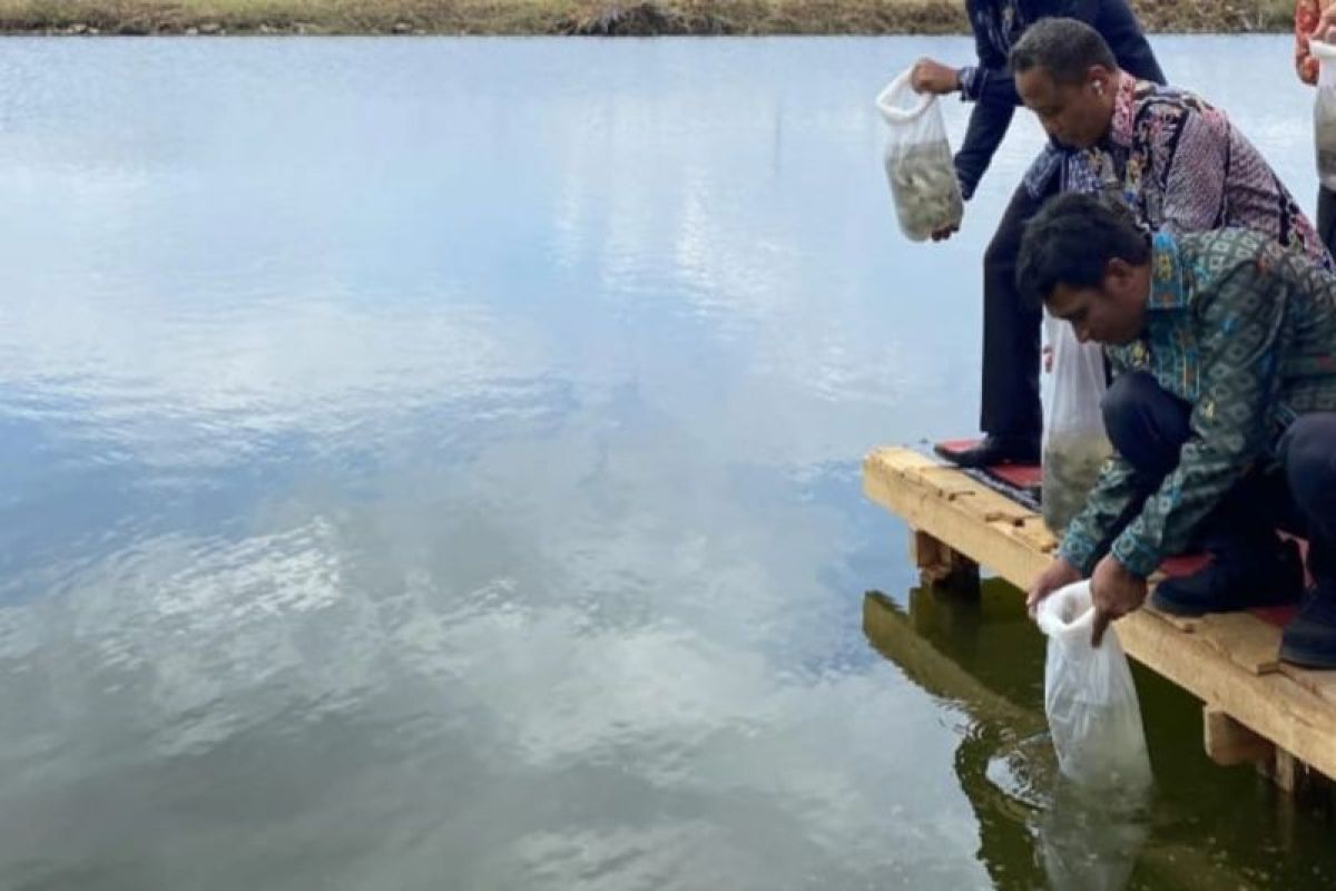 Pj Bupati Kolut tebar ratusan ribu benih ikan di empang terbengkalai