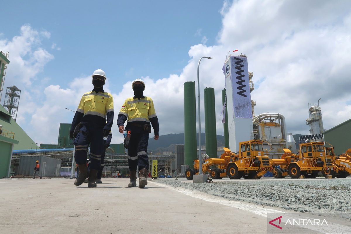 Bea Cukai Mataram proyeksikan penurunan kepabeanan imbas smelter Amman