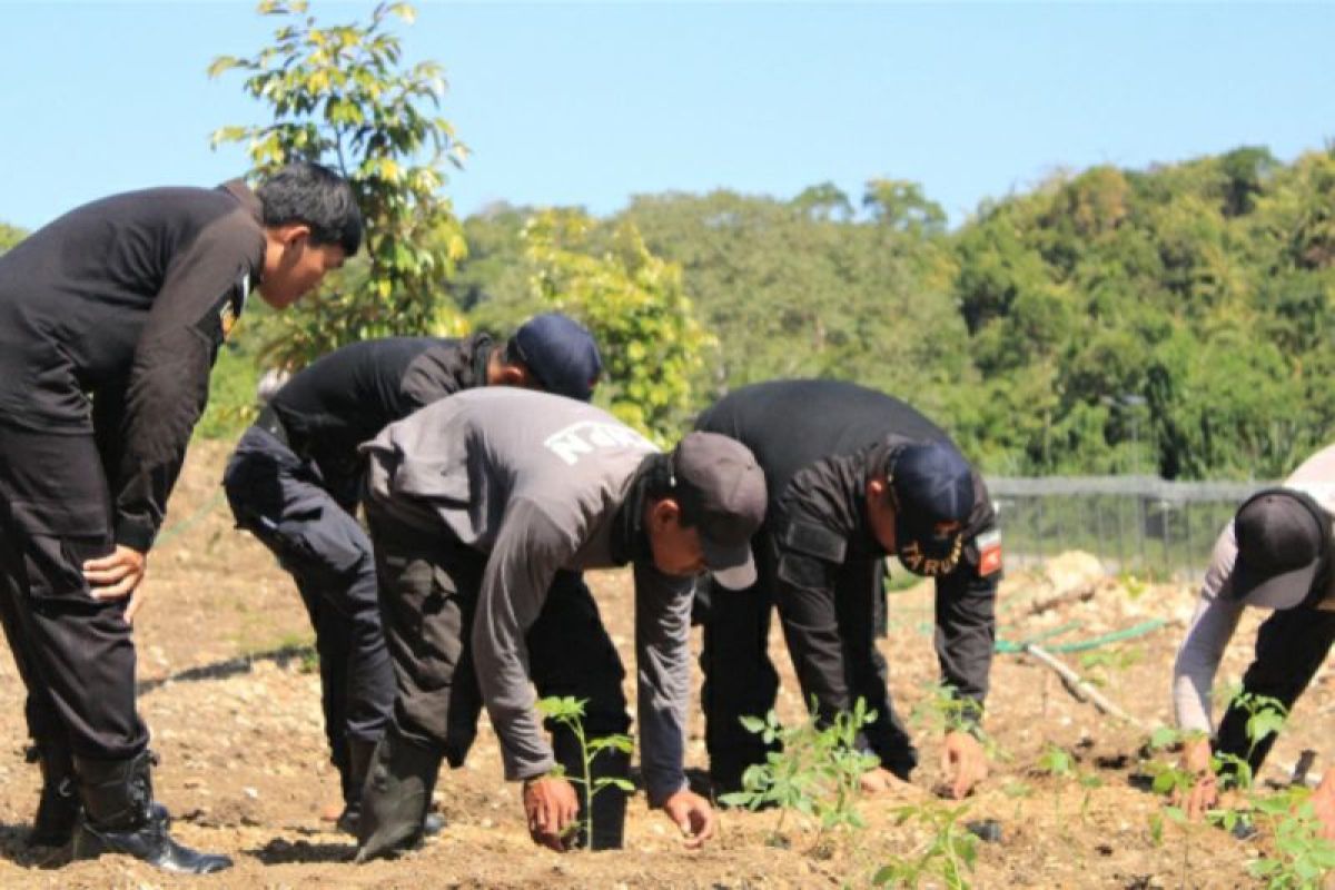 Kemenkumham Jateng dorong Lapas Karanganyar manfaatkan lahan kosong