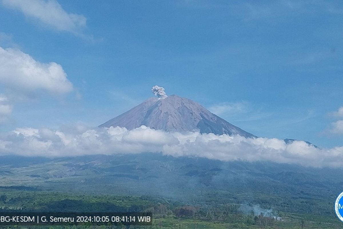 Gunung Semeru erupsi dengan letusan setinggi 500 meter di atas puncak