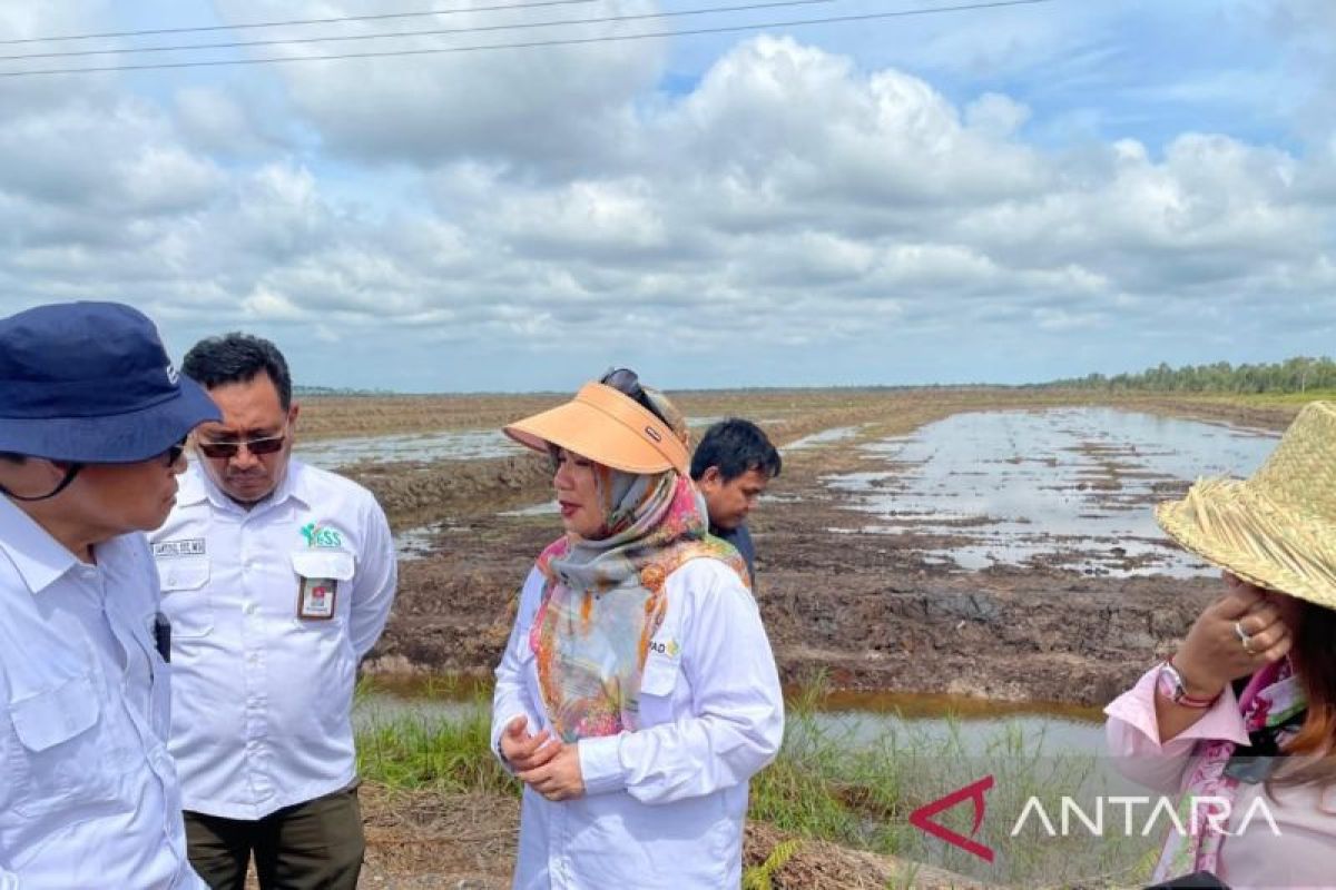 Kementan dampingi petani millenial