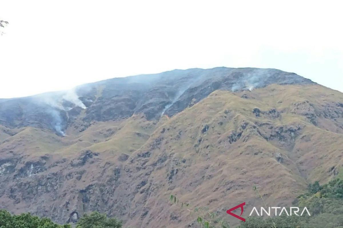 DLH NTB: Kebakaran hutan di Rinjani dan Sembalun akibat ulah manusia