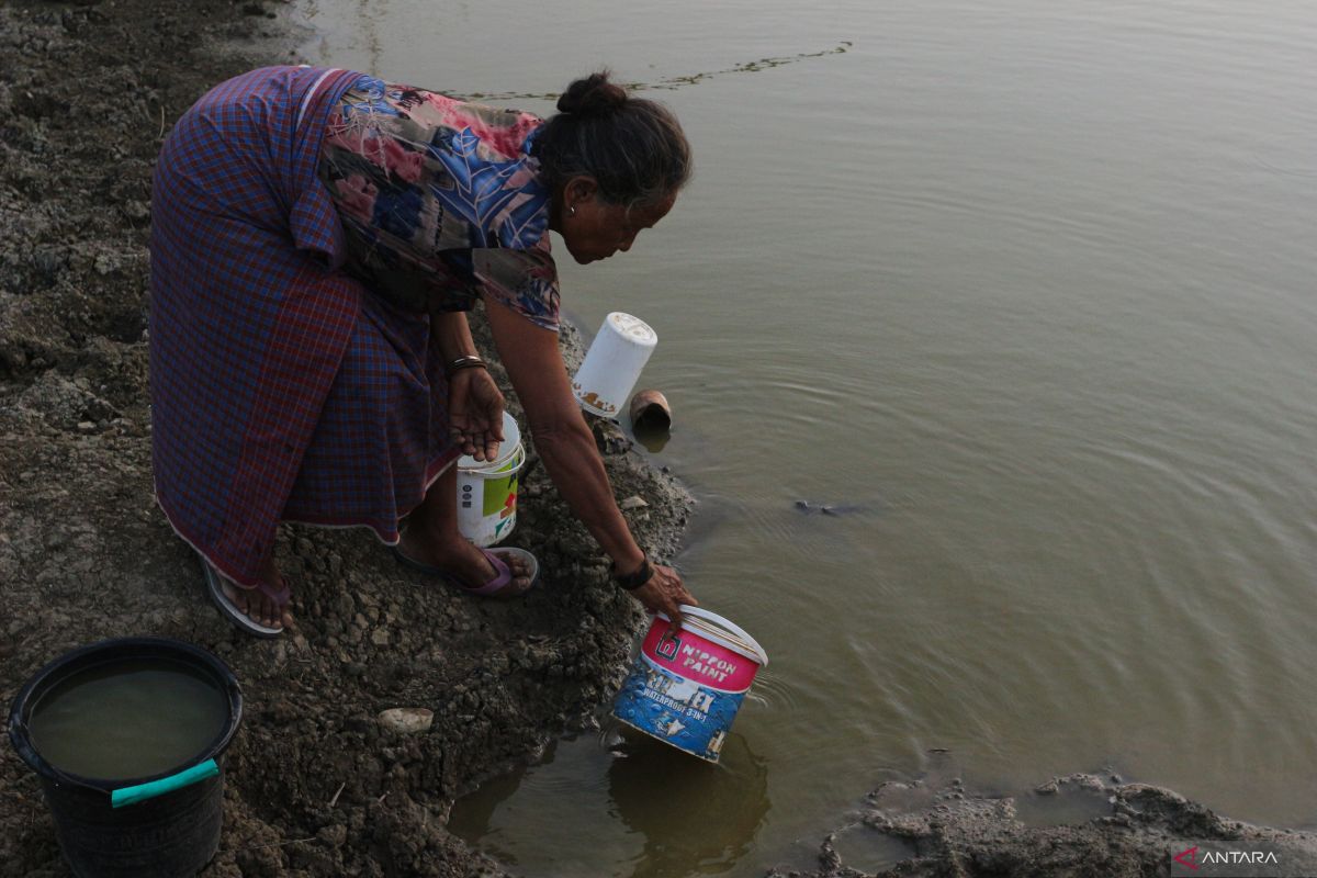 Sejumlah wilayah di NTT berpotensi dilanda angin kencang