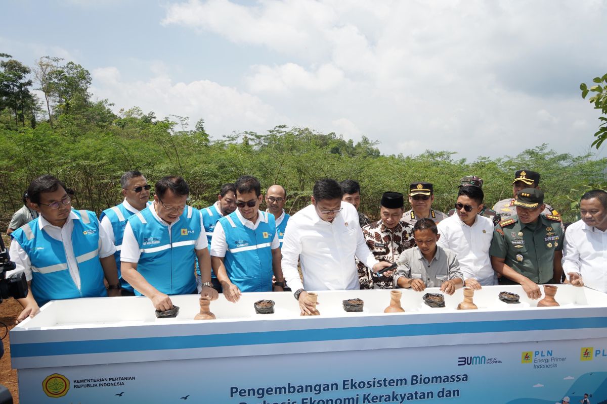 PLN EPI targetkan program GEV Tasikmalaya capai 100 ha