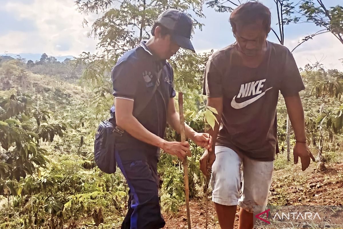 Jejak Bumi Indonesia tanam 200  ribu bibit pohon cegah banjir