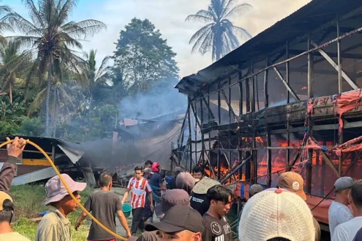 Sebanyak 8 ribu ayam mati terpanggang akibat kebakaran di Kolaka