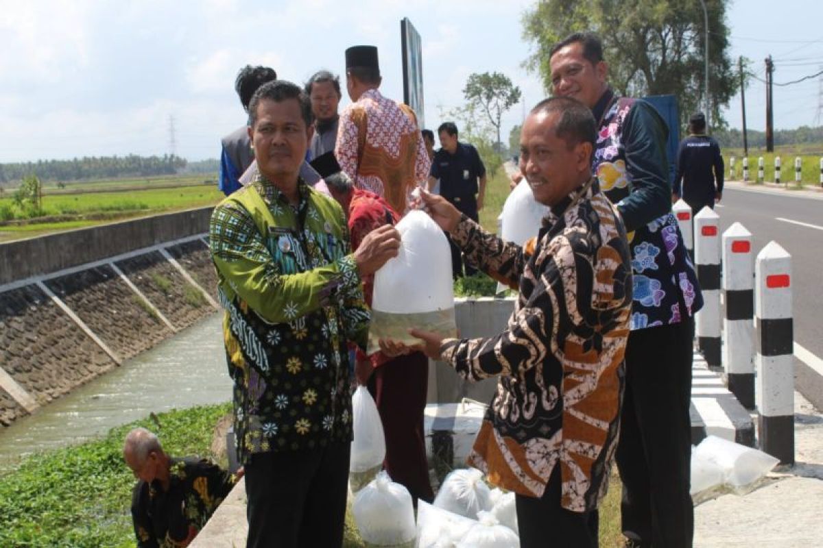 DKP Kulon Progo serahkan 10.000 benih ikan ke Anom Mina Lestari