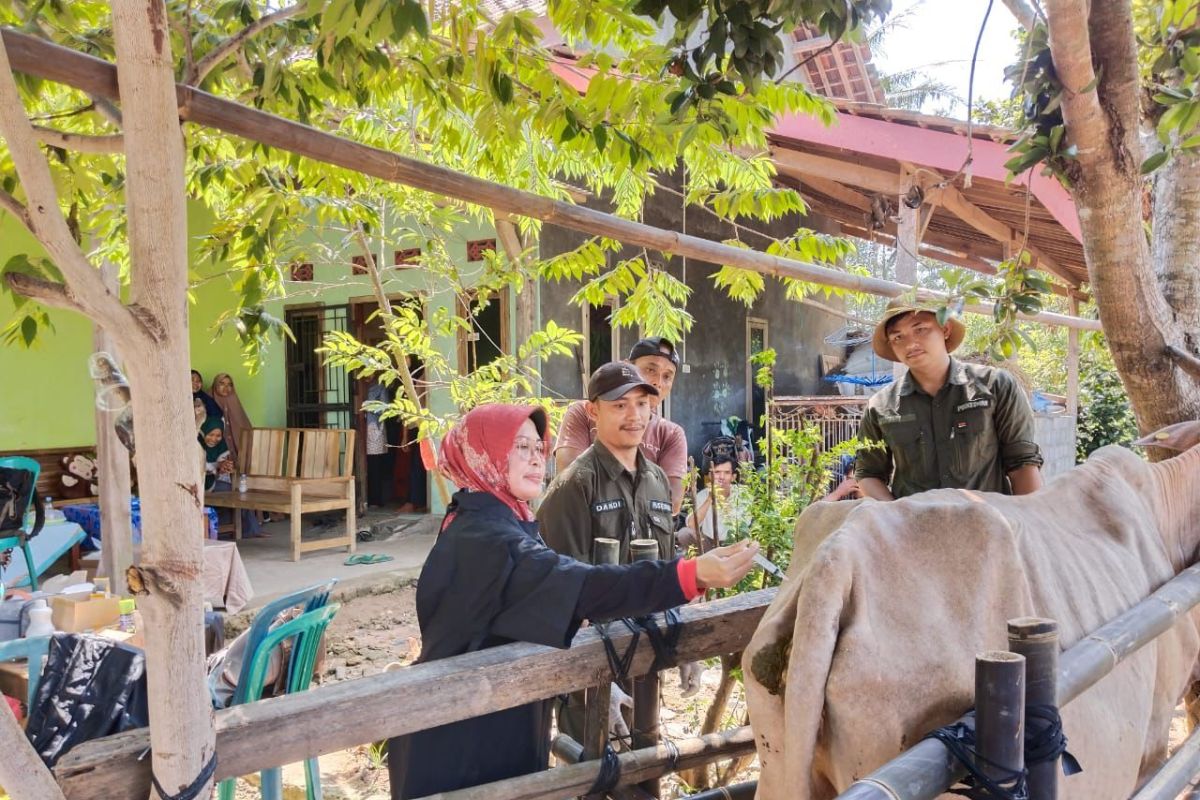 Disnakeswan Lampung Selatan programkan "Gertak Berahi Spontan"