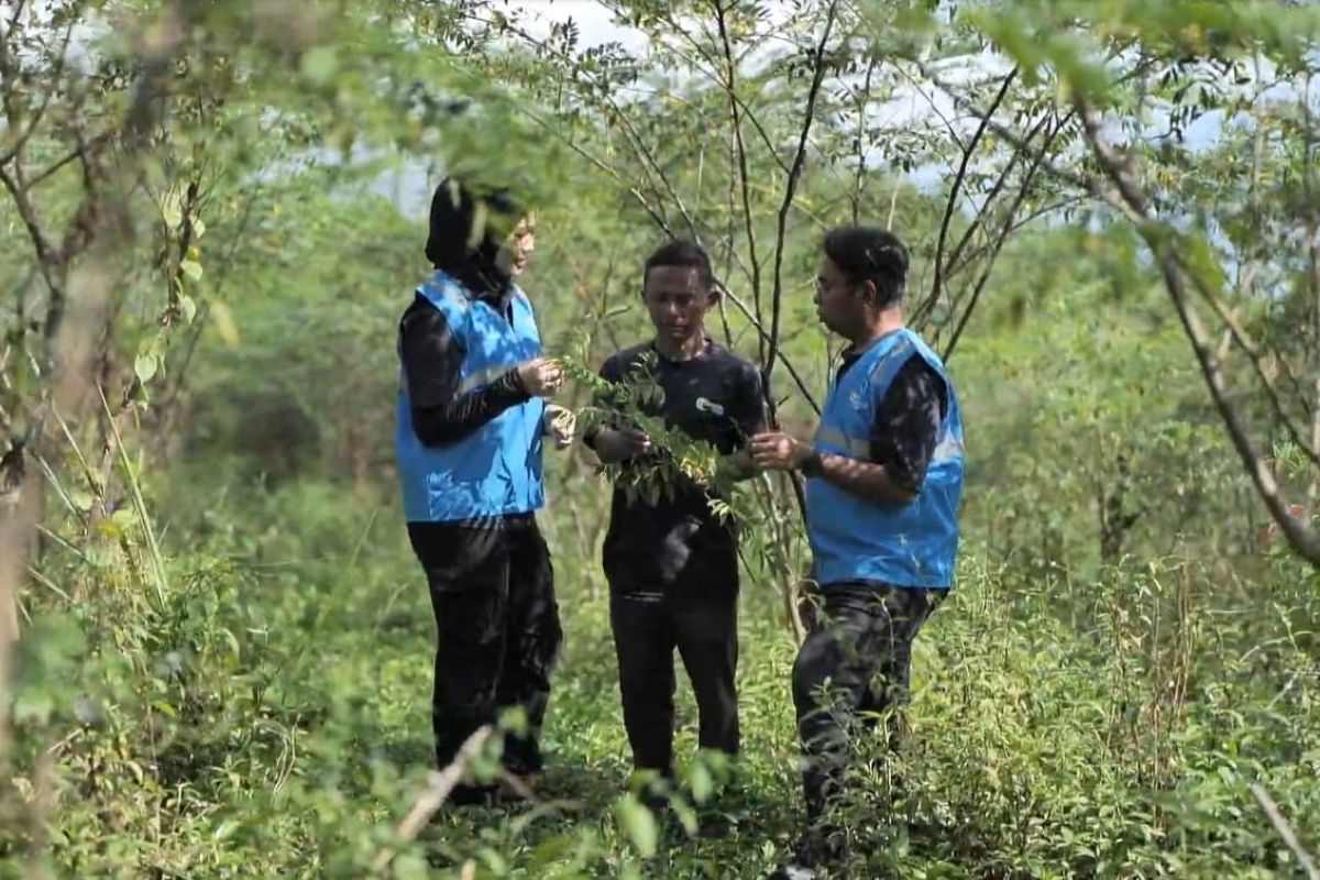 PLN sebut pengembangan biomassa di Tasikmalaya dikelola masyarakat