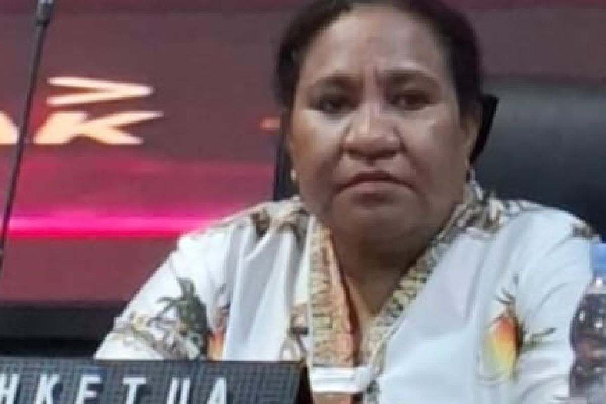 KPU sebut kenaikan DPT Papua akibat bertambahnya pemilih pemula