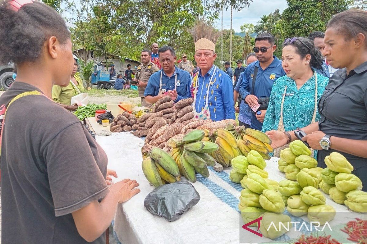 Baperida Papua gencar kembangkan komoditas unggulan