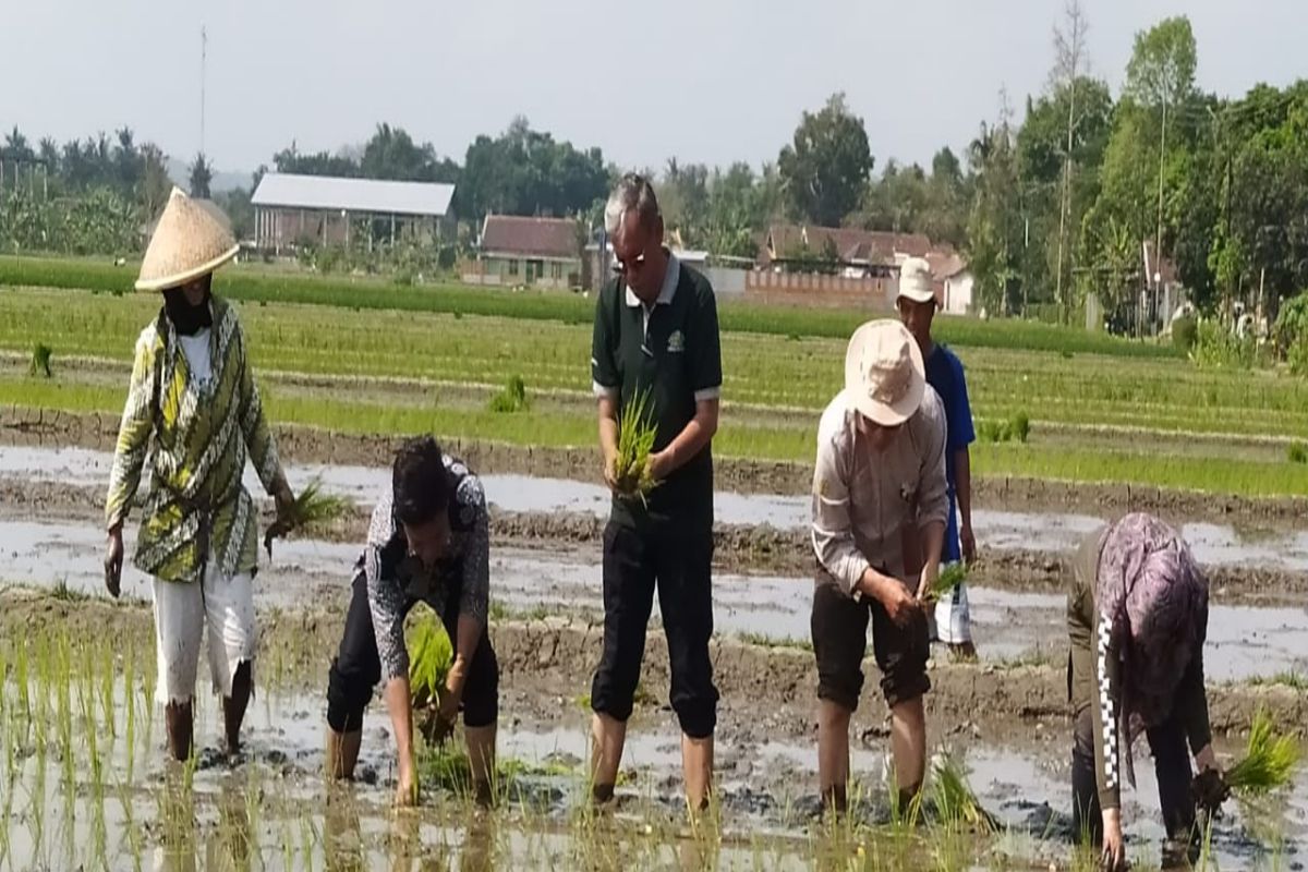 DP3 Sleman DIY salurkan 160 unit pompa tingkatkan indeks pertanian