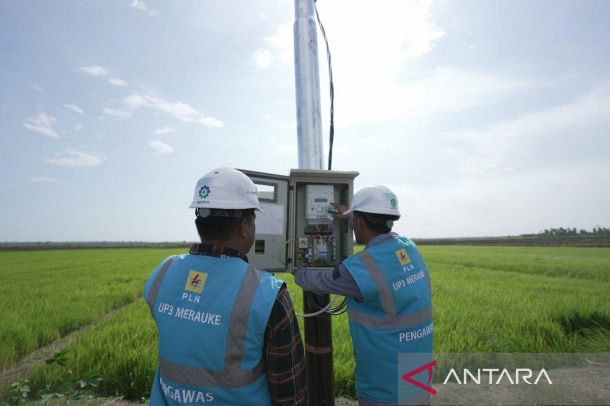 Dukung pengembangan pertanian di Merauke, PLN listriki area sawah garapan Kementan-TNI