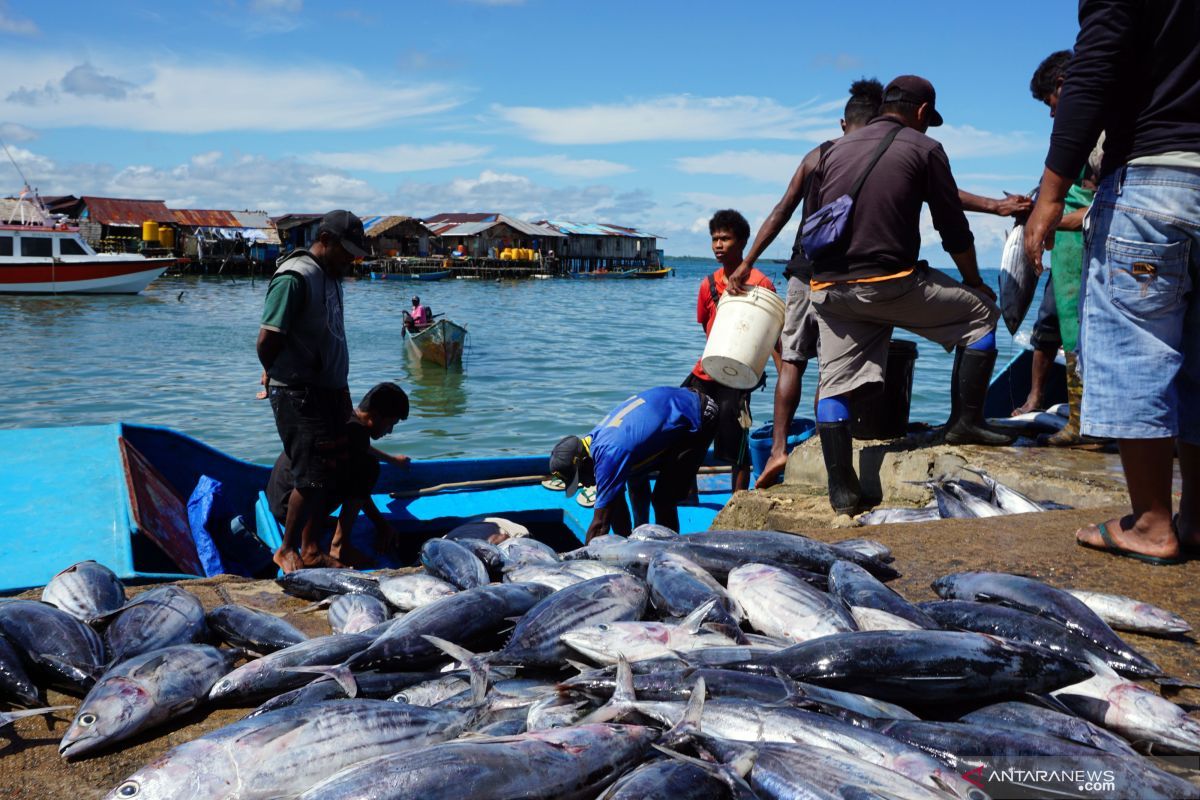 Ekonomi biru miliki potensi besar bisa dikembangkan