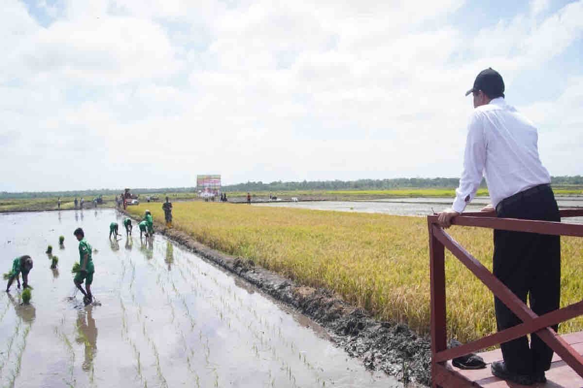 Mentan Andi Amran membidik lahan Merauke jadi laboratorium raksasa pertanian modern