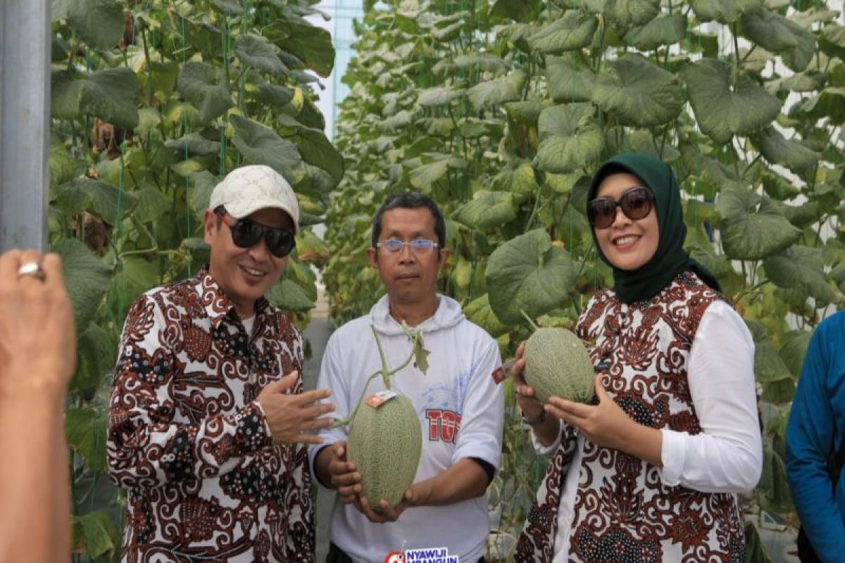 Cabup-cawabup 03 Novida-Rini: Fokus garap ekonomi basis kalurahan di Kulon Progo