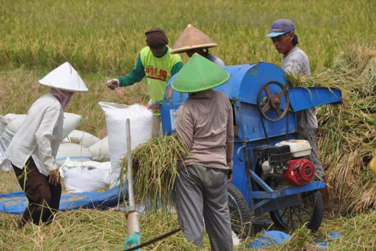 Tim dosen Unsoed  dampingi petani kembangkan pertanian ramah lingkungan