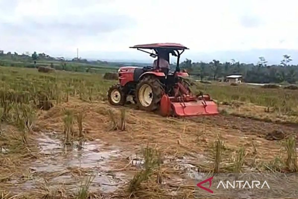 DPPKP  Banjarnegara pastikan stok pupuk subsidi cukup kebutuhan MT-I