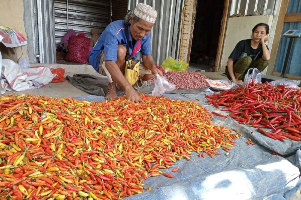 Harga cabai rawit di Mataram naik hingga Rp30 ribu perkilogram