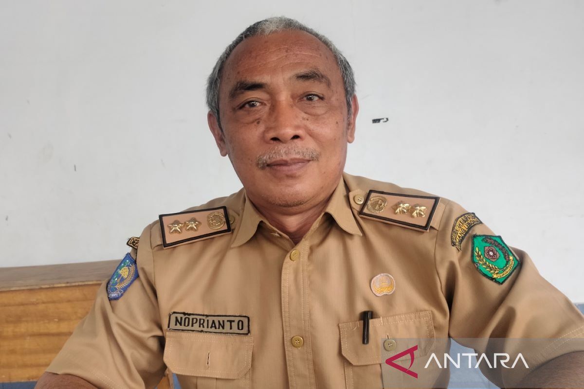 Dikbud Rejang Lebong minta guru honorer manfaatkan peluang PPPK