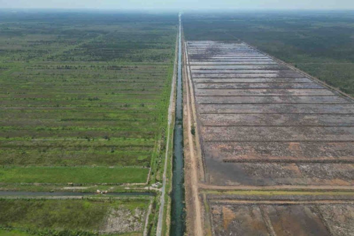 Kementan: Program cetak sawah didukung penuh presiden terpilih Prabowo Subianto