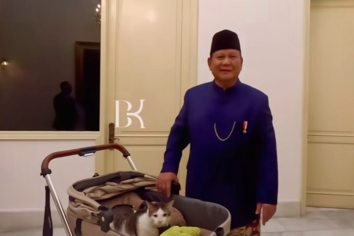 Prabowo ajak Bobby si kucing pindah ke Istana Negara