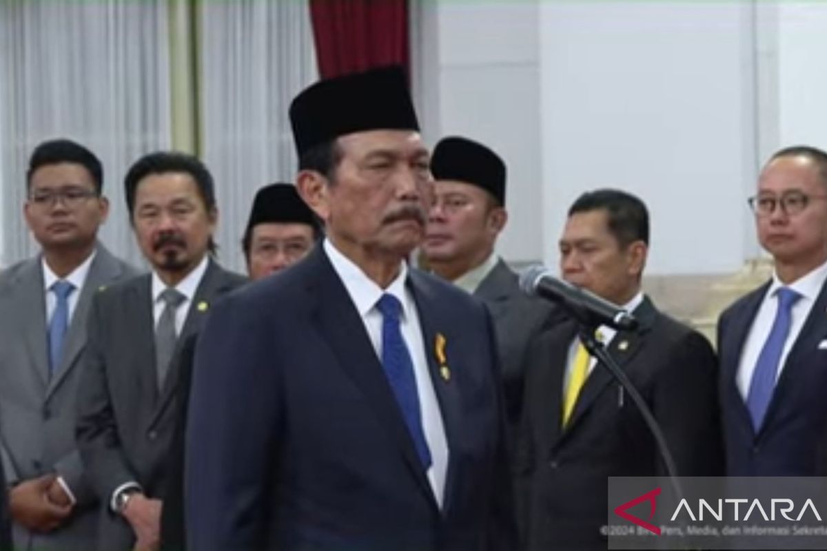 Luhut Binsar Pandjaitan jadi Ketua Dewan Ekonomi Nasional di era Prabowo