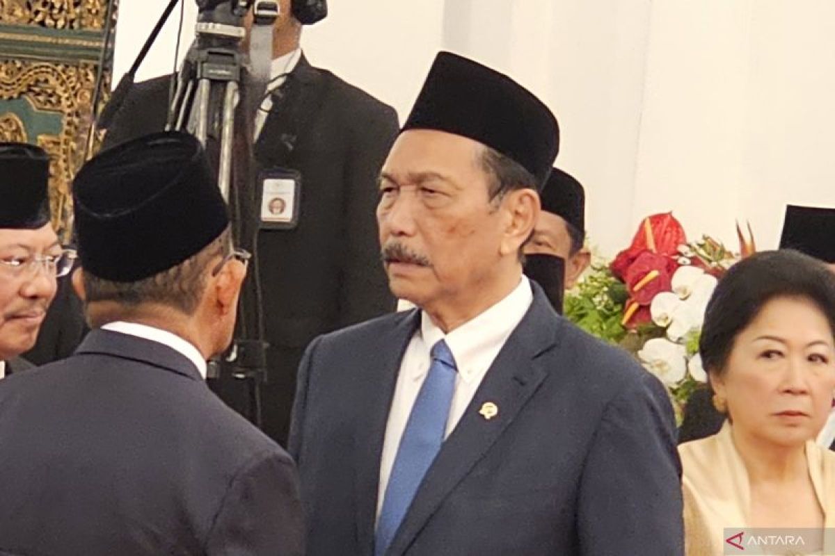 Presiden tambah jabatan Luhut jadi Penasihat Khusus Bidang Digitalisasi