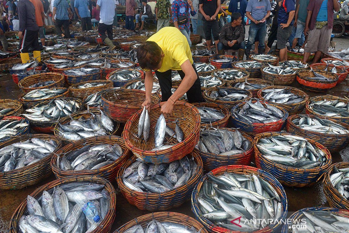 Indonesia's fisheries exports record surplus in 2018--2023