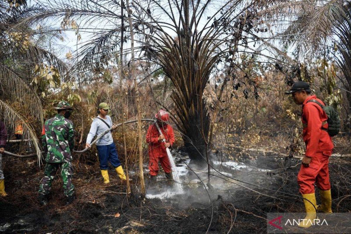 Pemerintah pastikan pengendalian kebakaran hutan dan lahan terutama wilayah prioritas