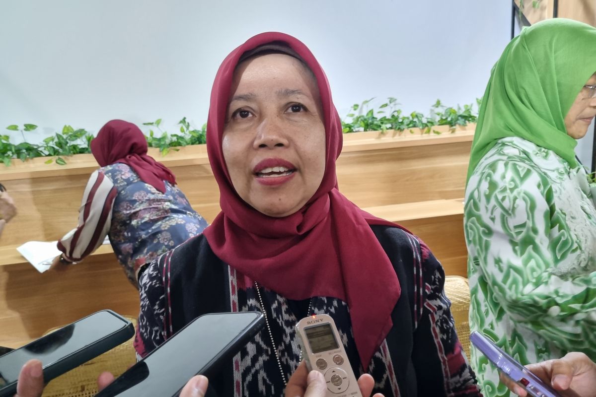 KemenPPPA: perjuangan RUU Kesetaraan Gender sudah lima dekade