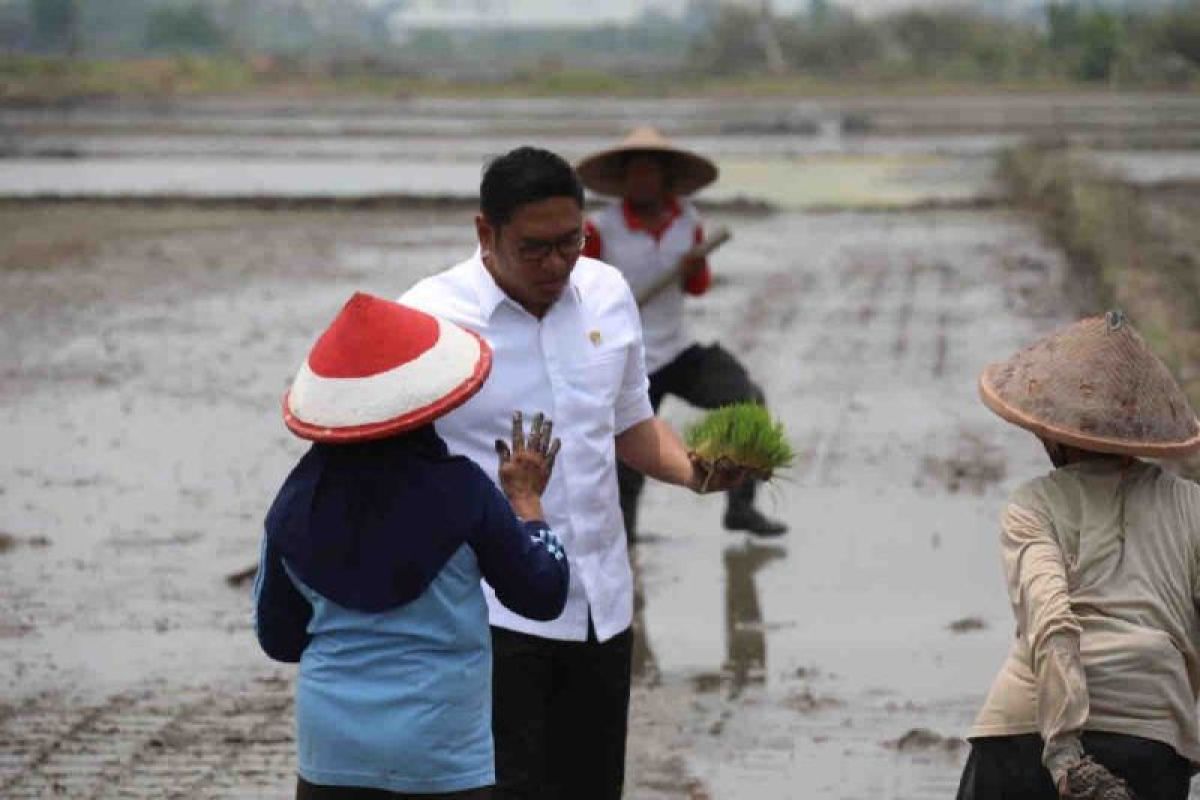 3 juta hektare sawah dicetak demi ketahanan pangan Indonesia