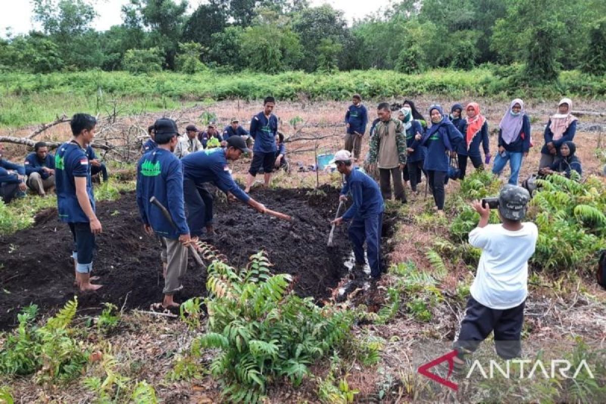 Greenpeace menilai Restorasi lahan gambut 10 tahun terakhir tidak memuaskan