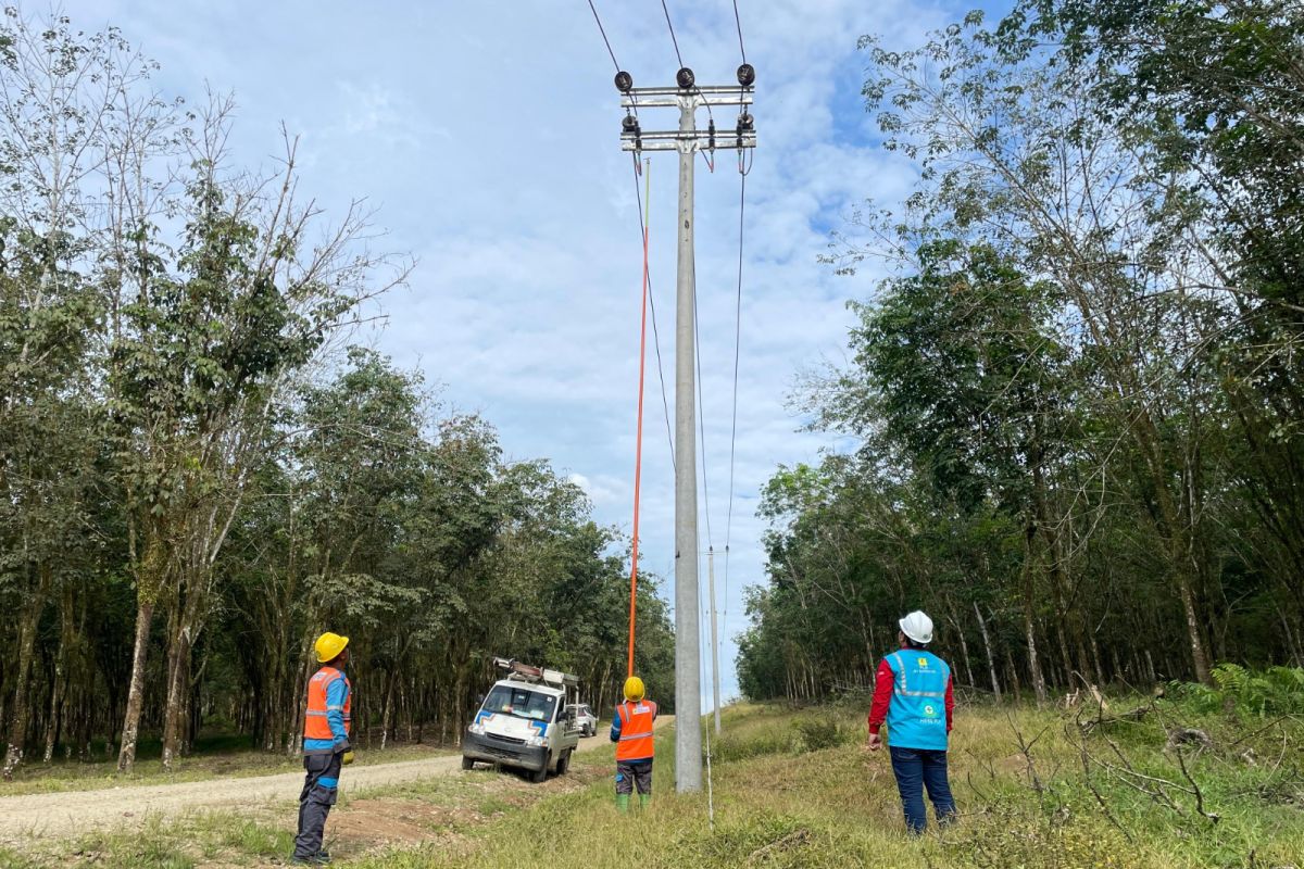 PLN aliri listrik 200 KK dusun terpencil di Rokan Hulu