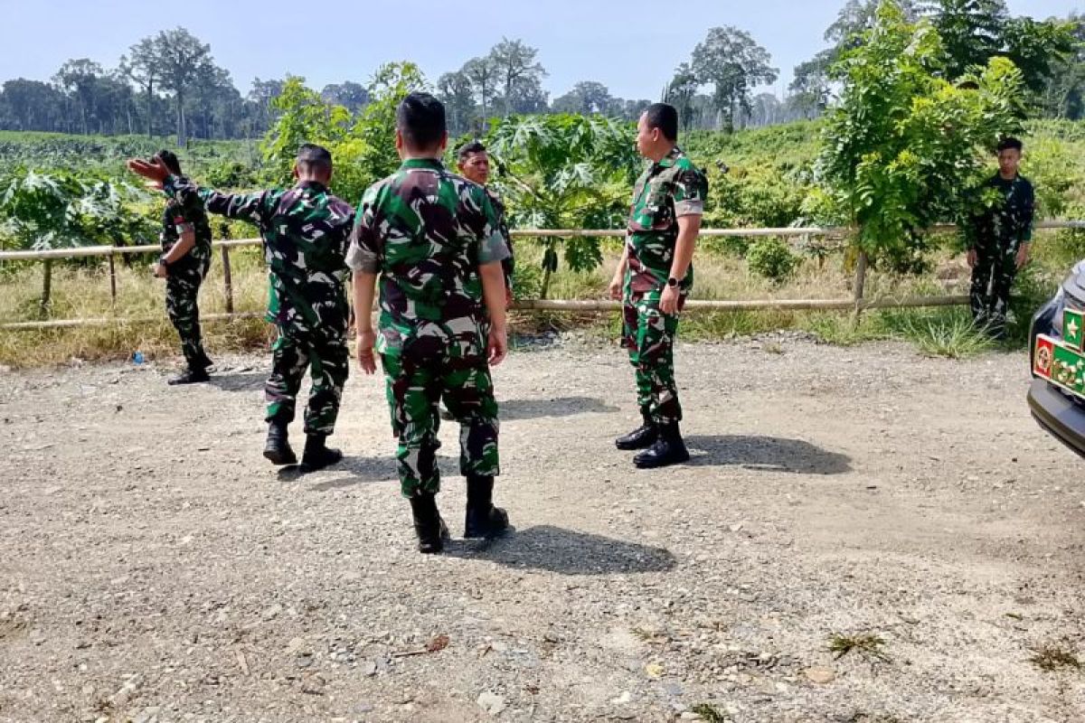 Danrem 132/Tadulako tinjau Kawasan Pangan Nusantara di Donggala