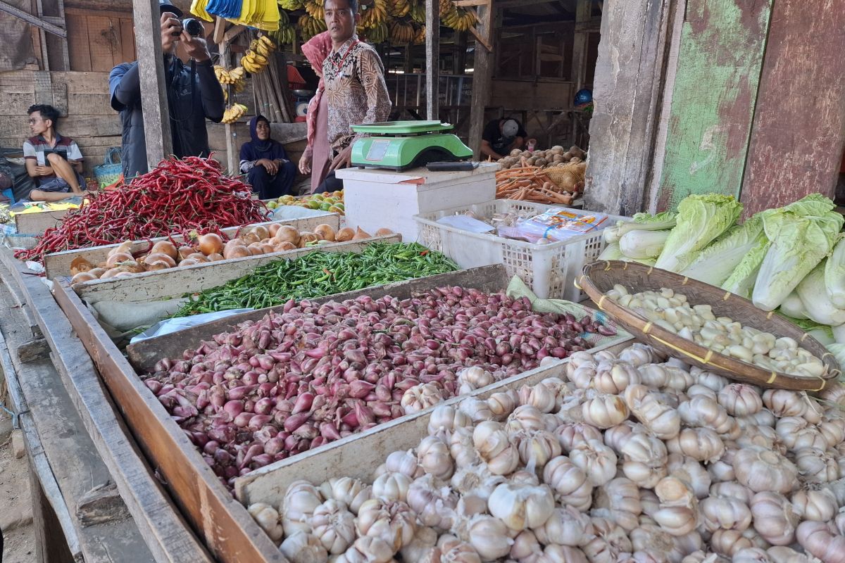 BI Lampung uji coba pengembangan hilirisasi komoditas bawang merah dan cabai