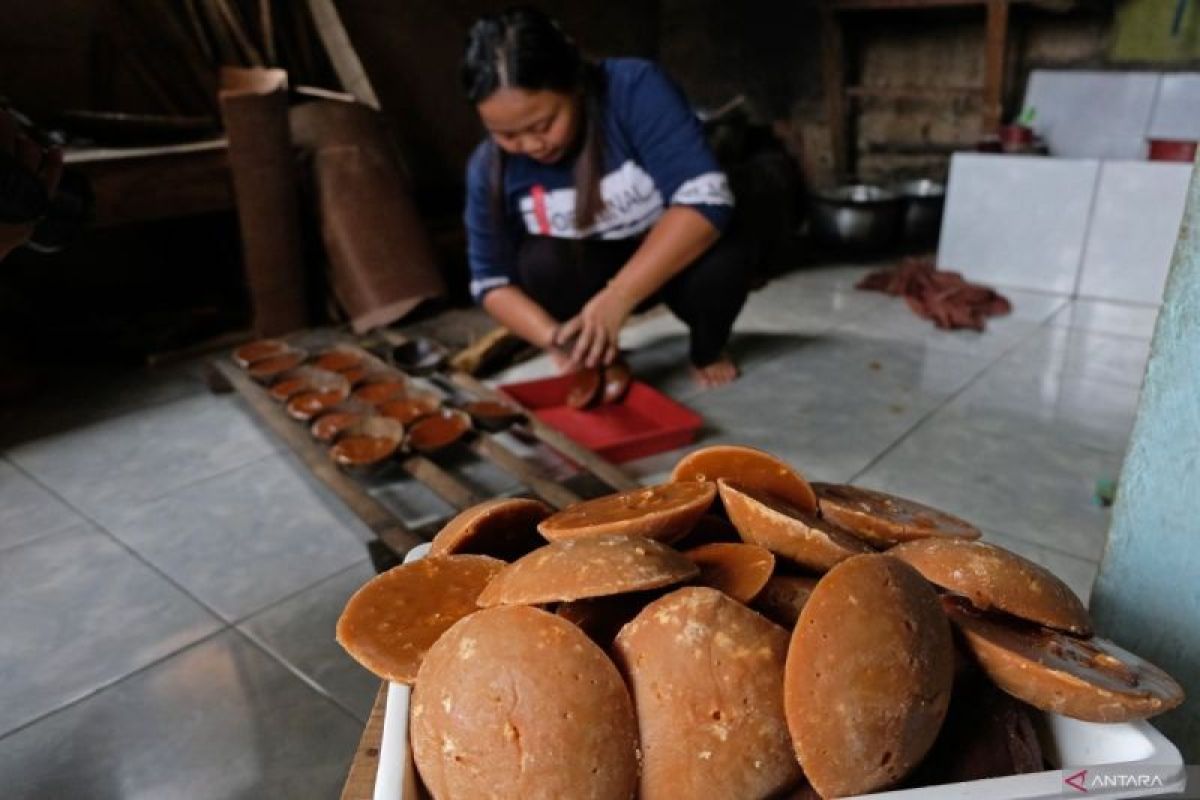 Melihat perbandingan kadar gula putih dan gula aren untuk kesehatan