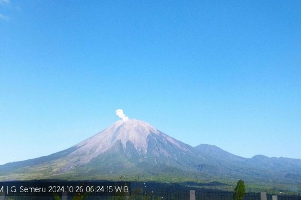 Gunung Semeru alami beberapa kali erupsi dengan letusan hingga 600 meter