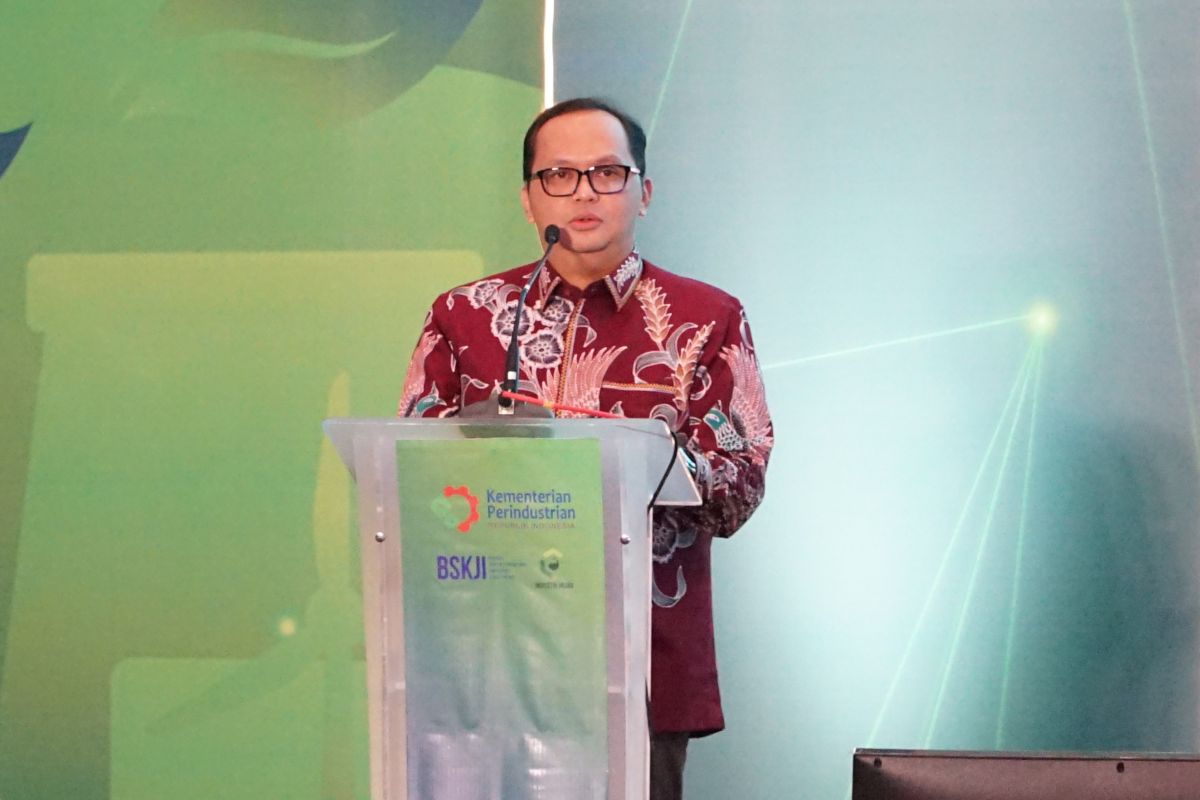 Indonesia launches apps to preserve batik industry